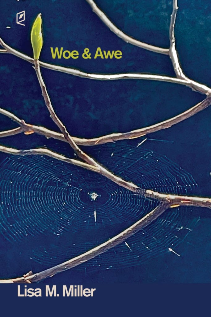 Front Cover of Woe & Awe
